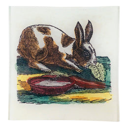 Munching Rabbit - FINAL SALE