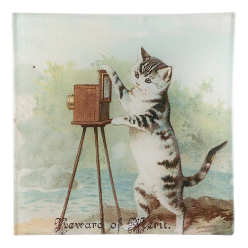 Reward of Merit (Cat) - FINAL SALE