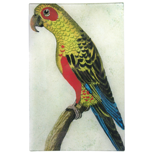 Parrot #6 - Yellow