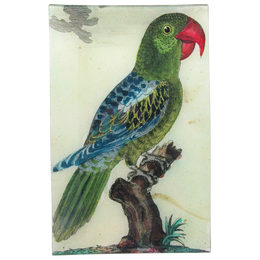 Parrot #7 - Green - FINAL SALE