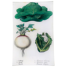 Cabbage, Turnip, Broccoli (Kitchen Vegetables)