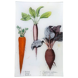 Radish, Carrot, Beet (Kitchen Vegetables)