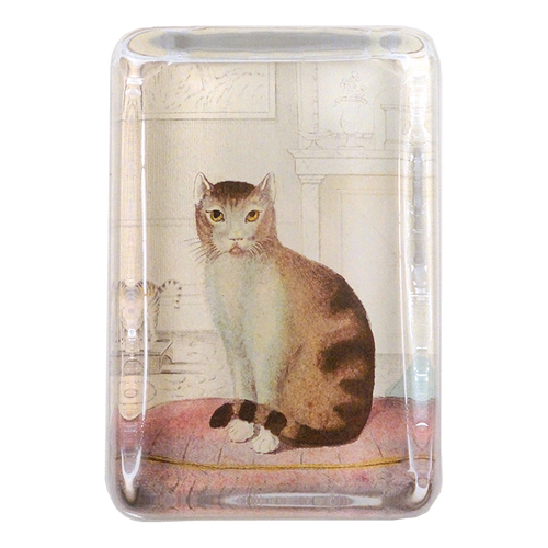 Calm Cat - FINAL SALE
