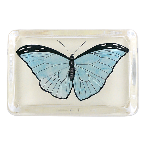 Pale Blue Butterfly