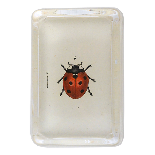 Red Ladybug - FINAL SALE