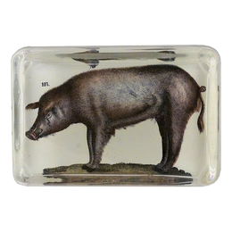 Pig - FINAL SALE