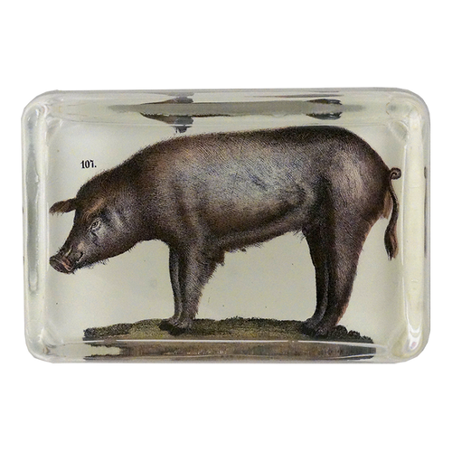 Pig - FINAL SALE