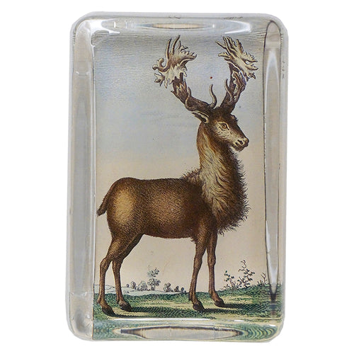 Stag - FINAL SALE