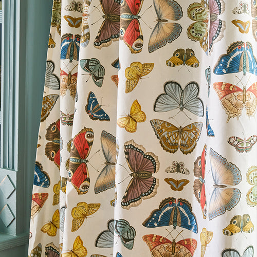 Mirrored Butterflies Parchment