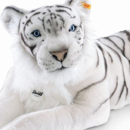 Tuhin the White Tiger