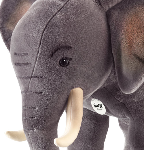 Studio Elephant