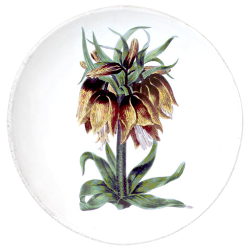 Fritillaria Flower Dinner Plate