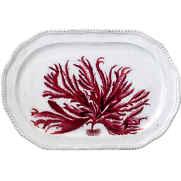Red Seaweed Platter
