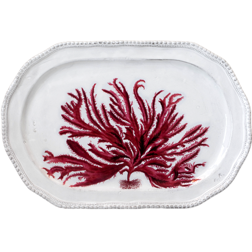 Red Seaweed Platter